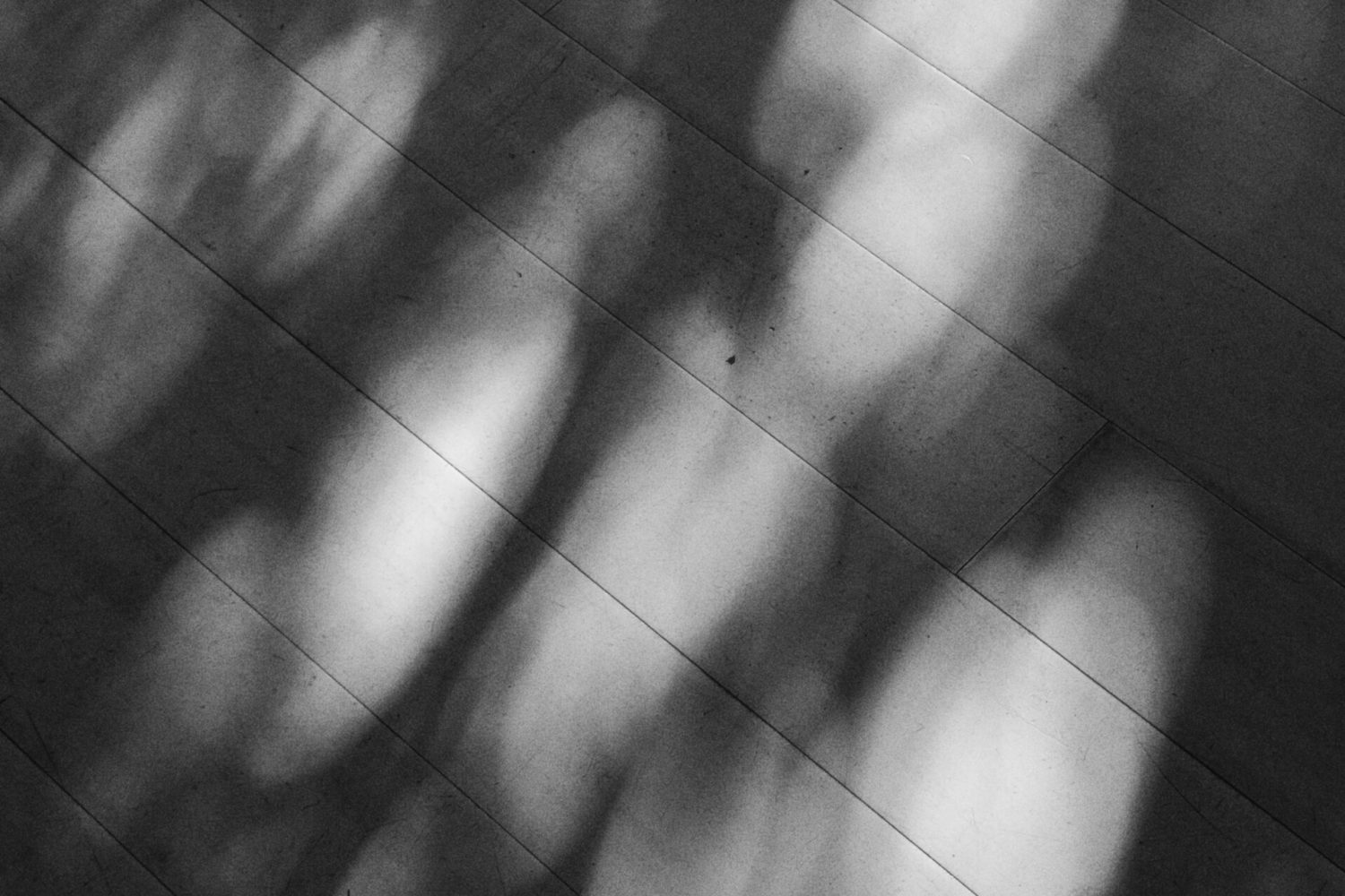 jason-leung-2Z_O5mlLlF4-unsplash