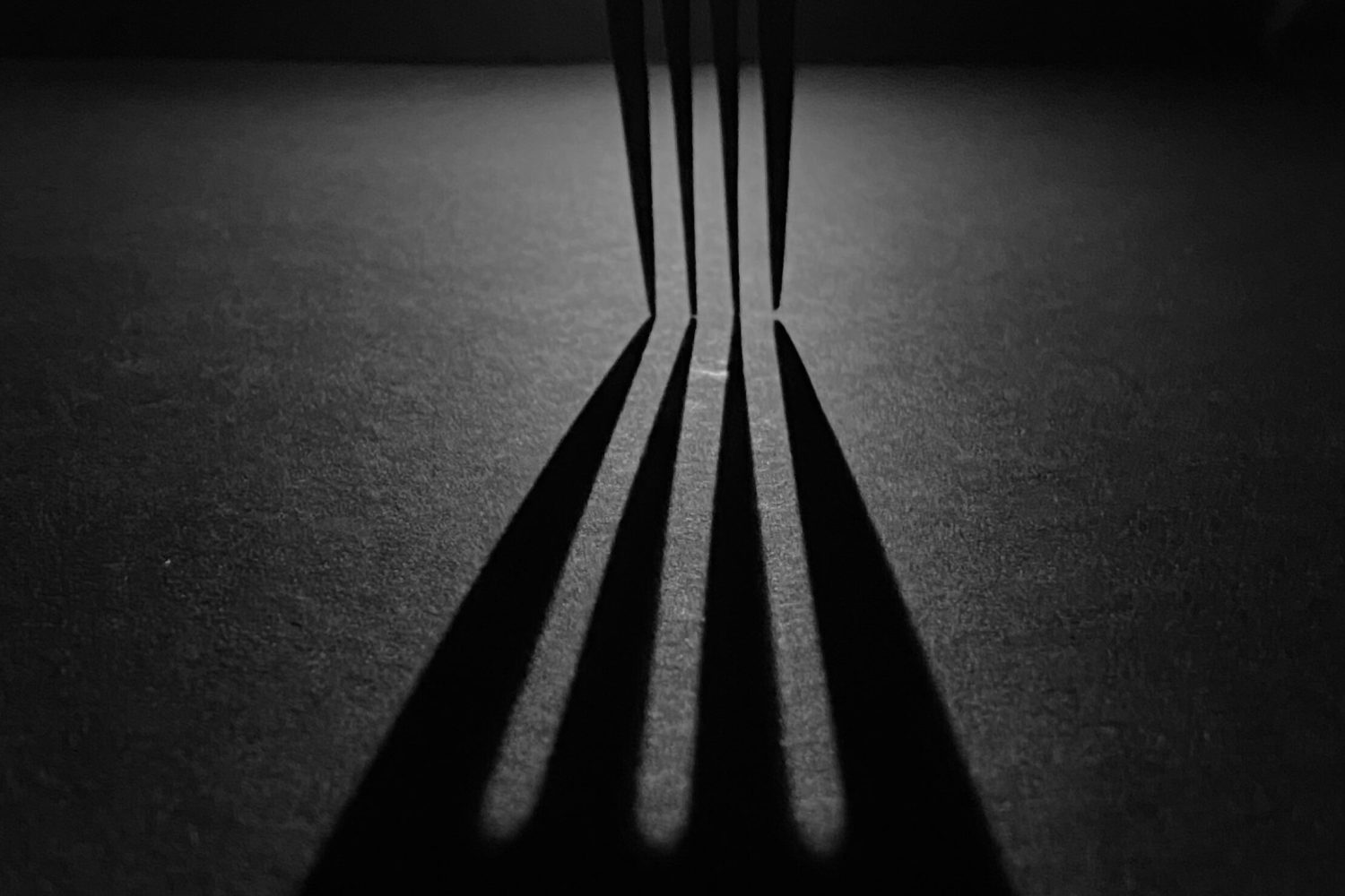 Photo by Srijan Mohan on Unsplash
